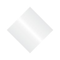 Platinum Silver Metallic Logo