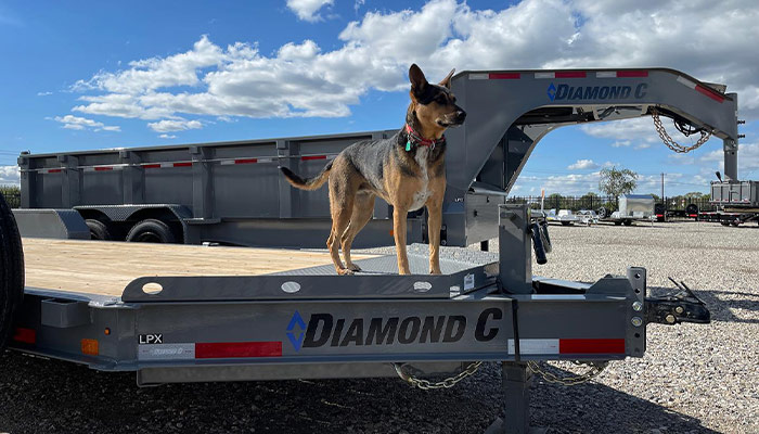 A Diamond C trailer at TSI Trailers.